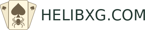 HELIBXG.COM